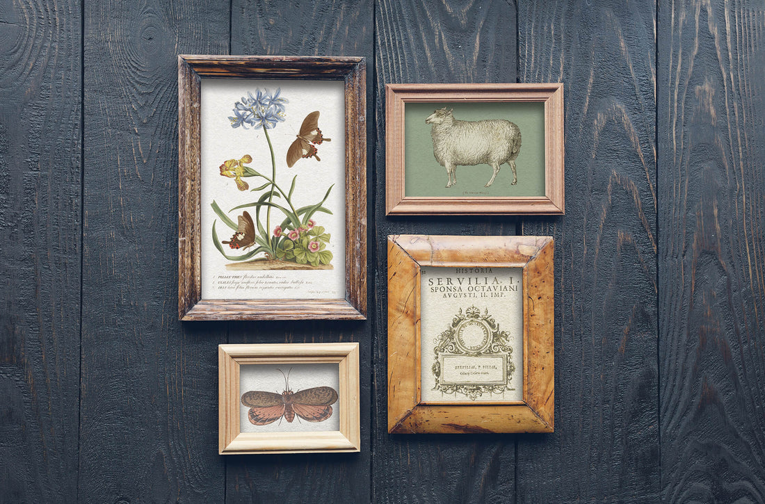 Fall 2021 IOD Product Release - New IOD Transfers, IOD Moulds & IOD Stamps