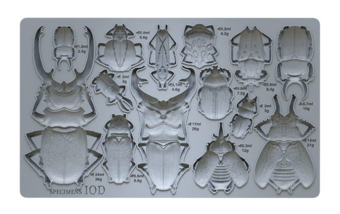 Specimens 6X10 IOD Mould™