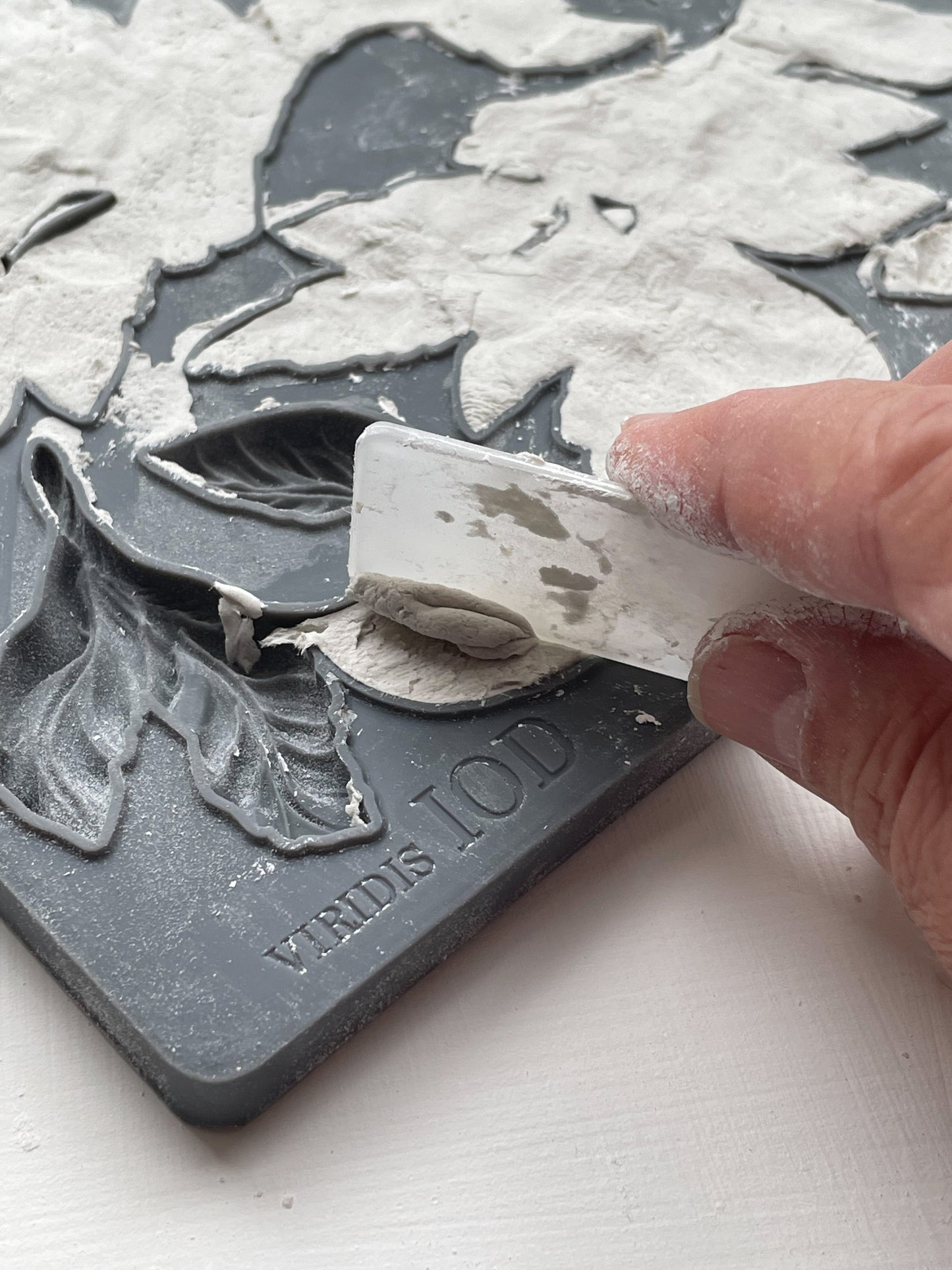 Viridis 6X10 IOD Mould™