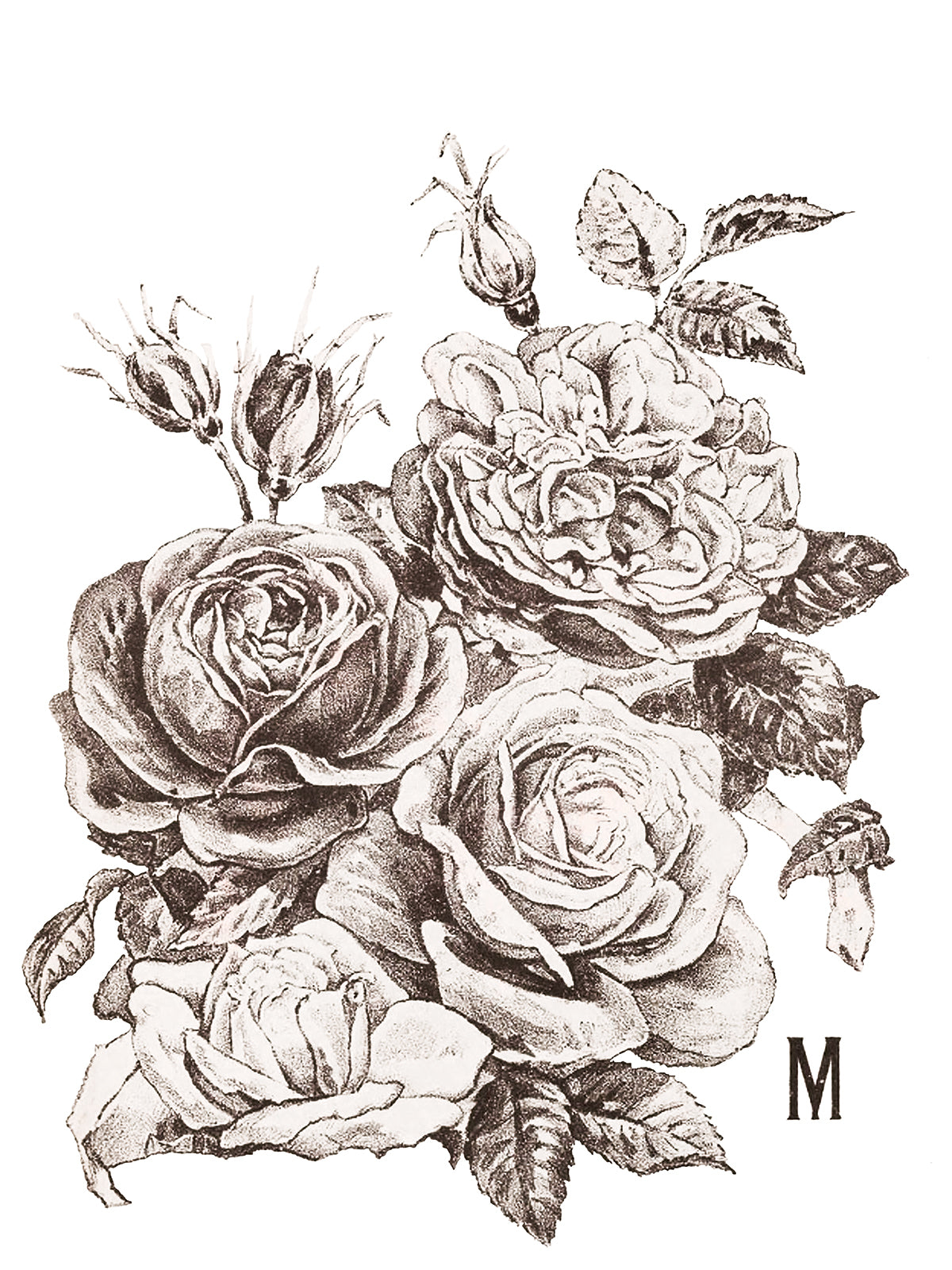 May's Roses IOD Transfer 12x16 Pad