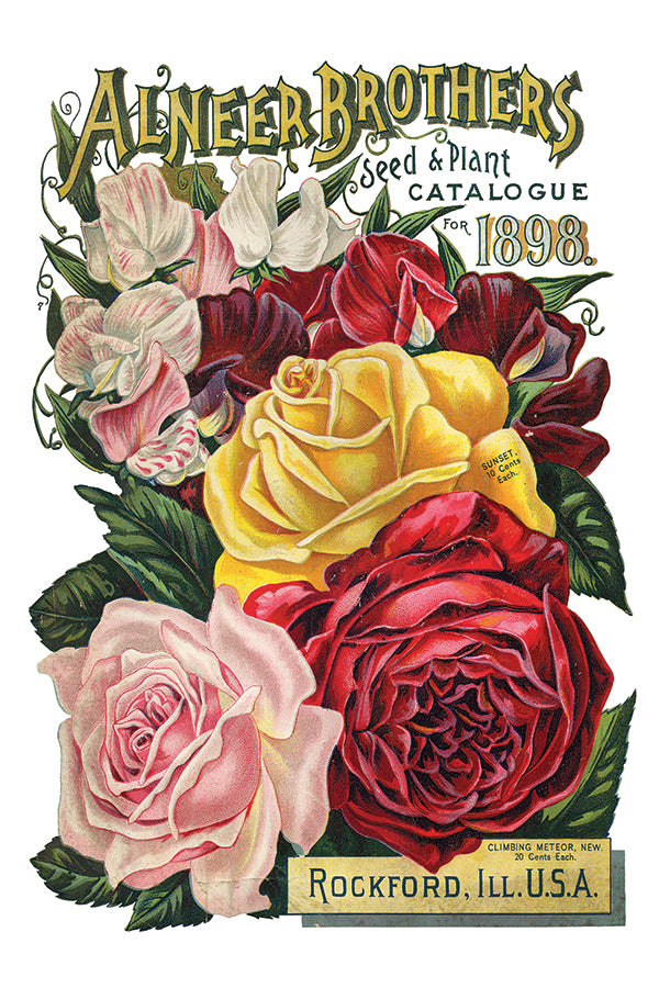 Seed Catalogue IOD Transfer 8x12 Pad