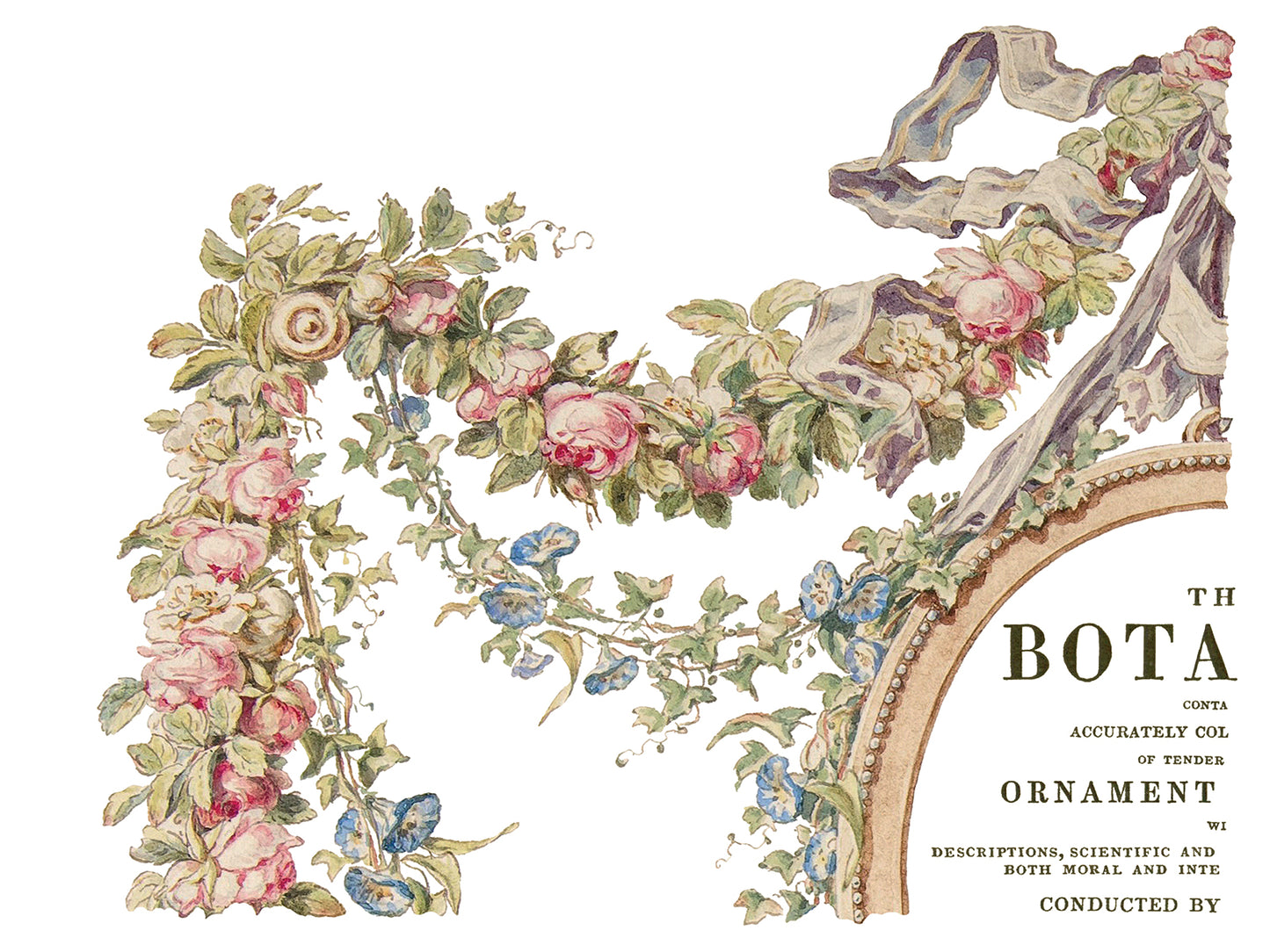 The Botanist IOD Transfer 12x16 Pad
