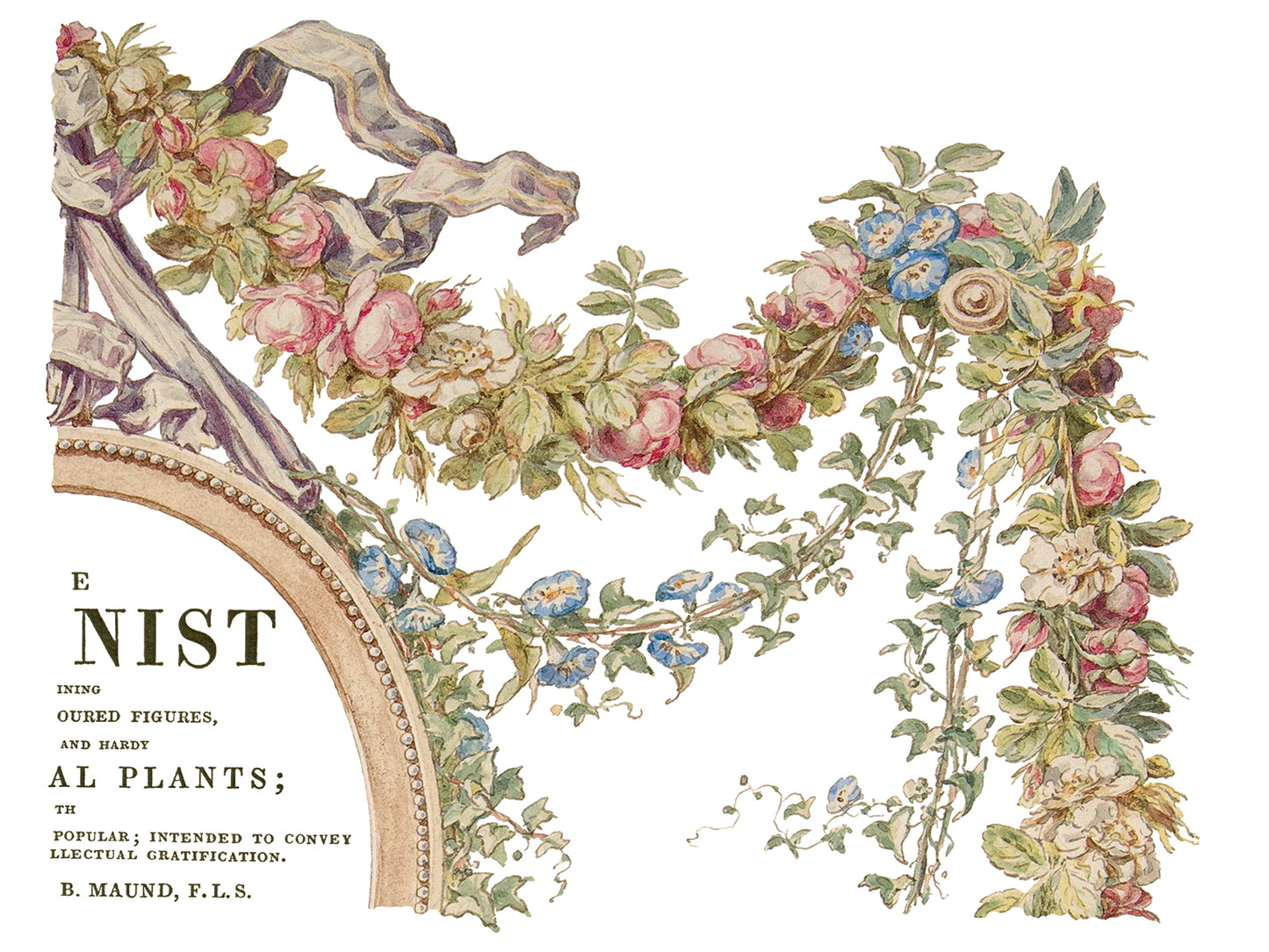 The Botanist IOD Transfer 12x16 Pad