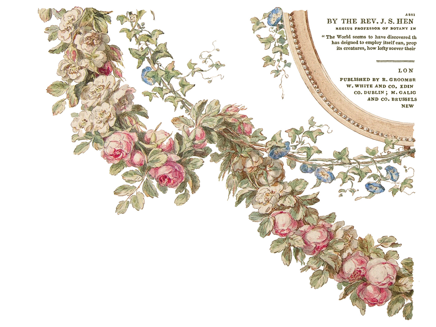The Botanist IOD Transfer 12x16 Pad
