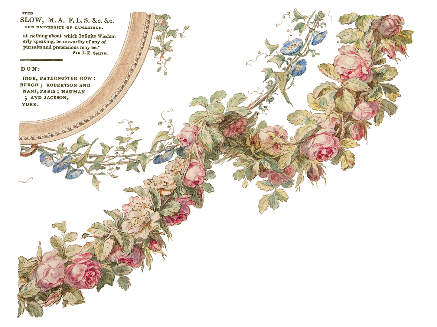 The Botanist IOD Transfer 12x16 Pad