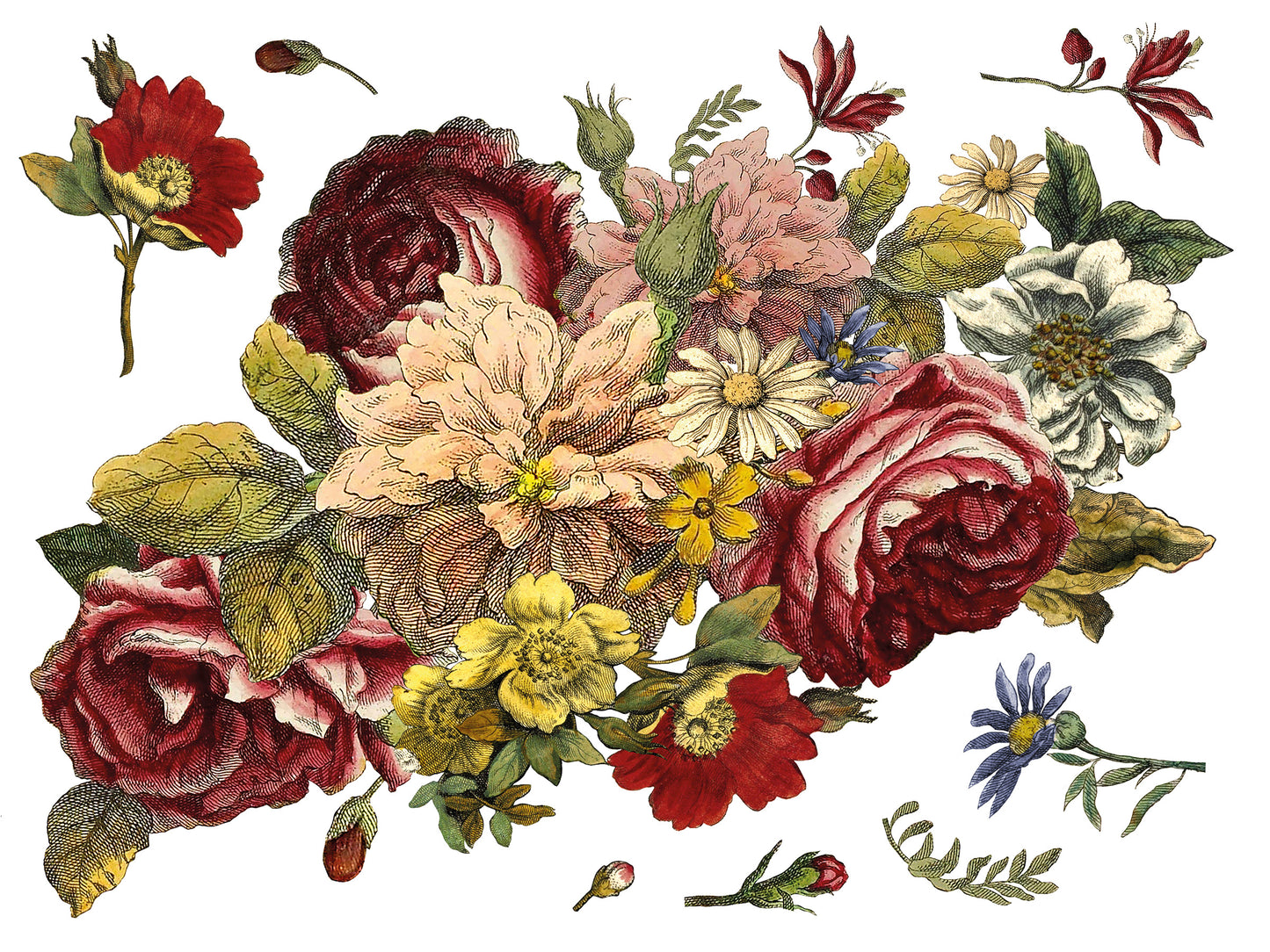 Floral Anthology IOD Transfer 12x16 Pad