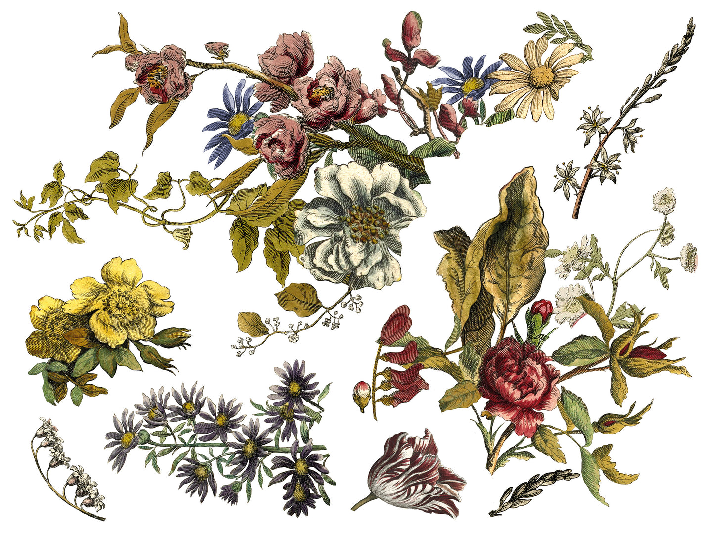 Floral Anthology IOD Transfer 12x16 Pad