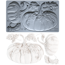 Hello Pumpkin 6x10 IOD Mould