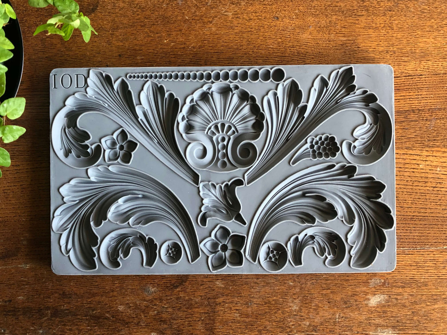 Acanthus 6X10 Iod Mould