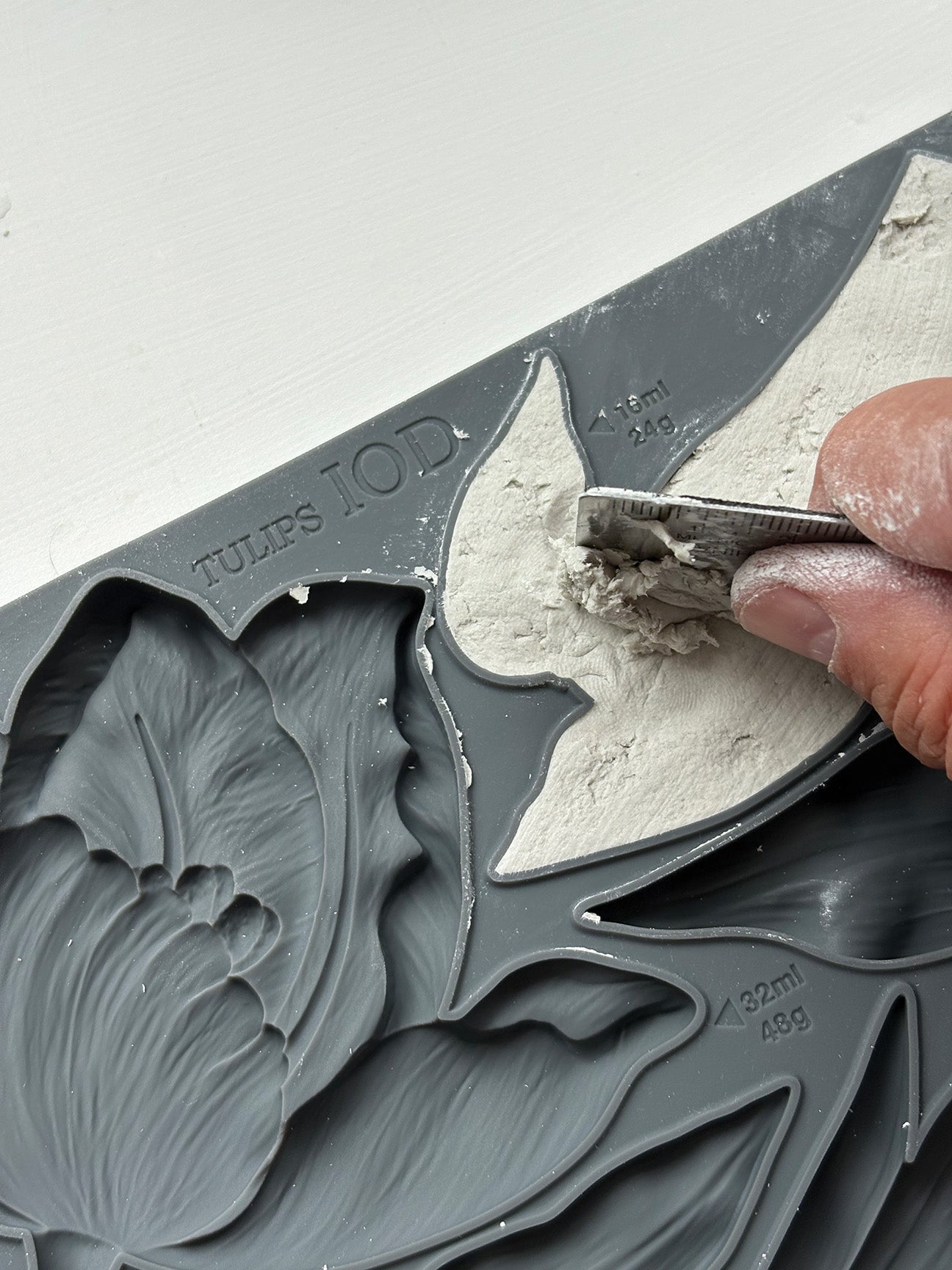 Tulips 6x10 IOD Mould