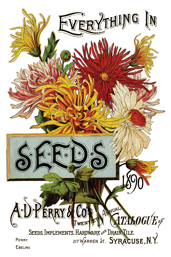 Seed Catalogue IOD Transfer 8x12 Pad