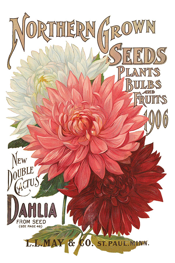 Seed Catalogue IOD Transfer 8x12 Pad