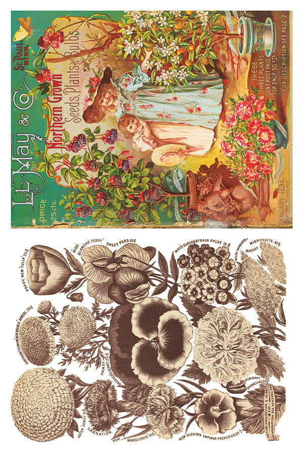 Seed Catalogue IOD Transfer 8x12 Pad