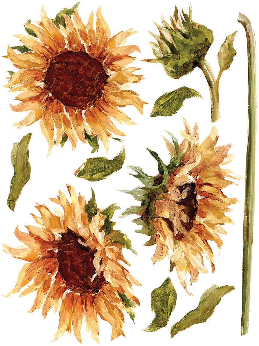 Painterly Florals IOD Transfer 12x16 Pad