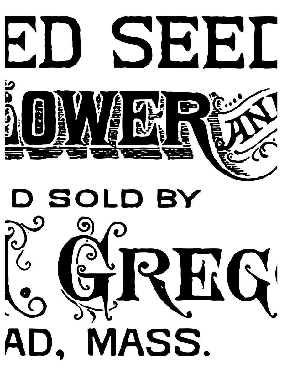 Gregory's Catalogue IOD Paint Inlay 12x16 Pad