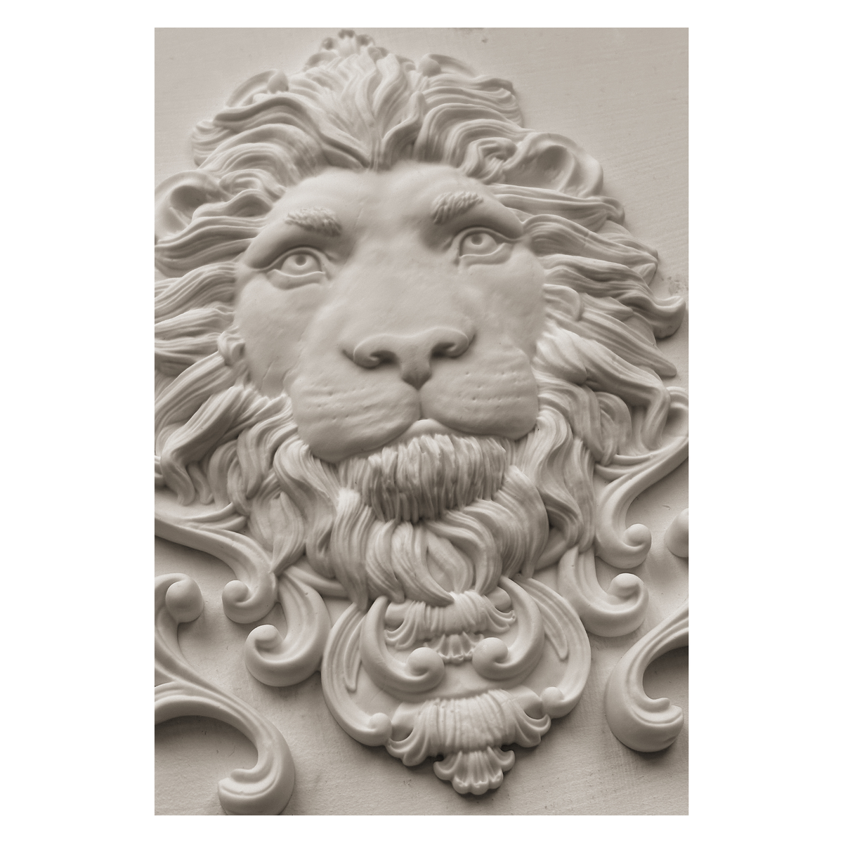 Leonidas 5x7 IOD Mould™