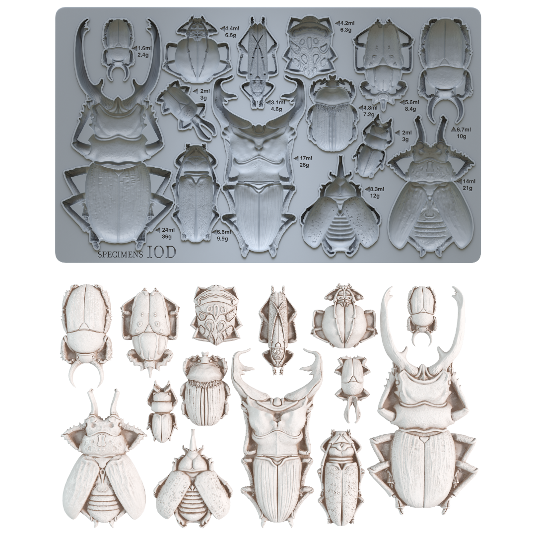 Specimens 6X10 IOD Mould™