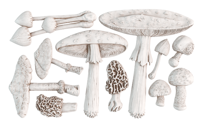 Toadstool 6X10 IOD Mould
