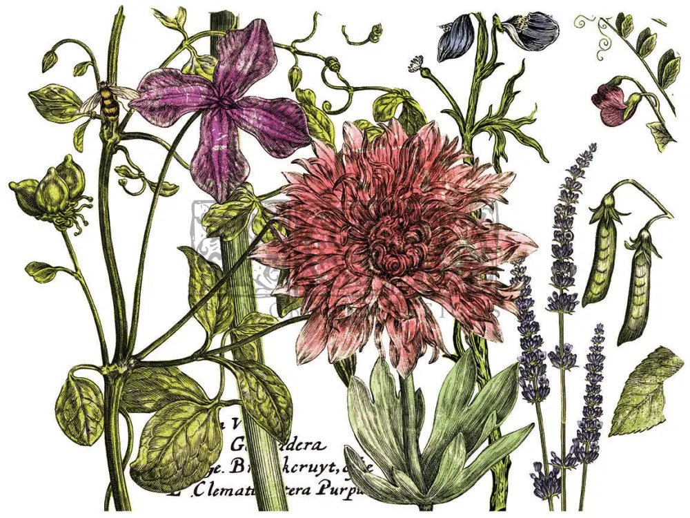 Botanists Journal Iod Transfer 12X16 Pad