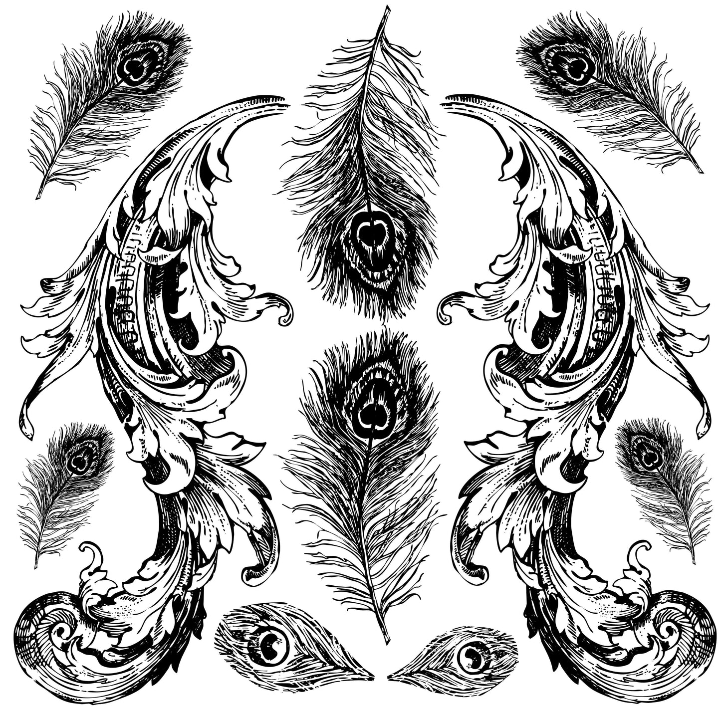 Pavo 12x12 Decor Stamp