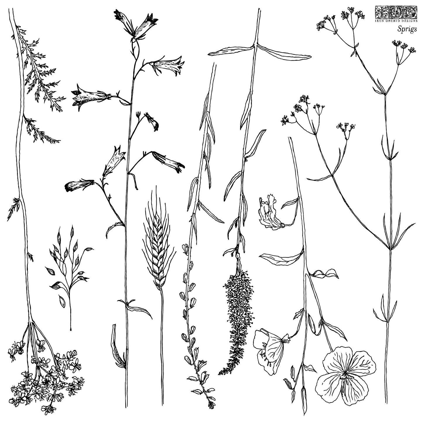 Sprigs 12x12 IOD Stamp