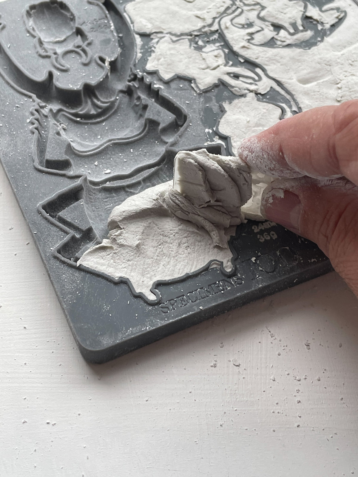 Specimens 6X10 IOD Mould™ – IOD Public