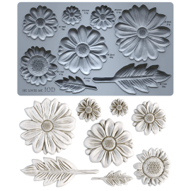 He Loves Me 6X10 IOD Mould