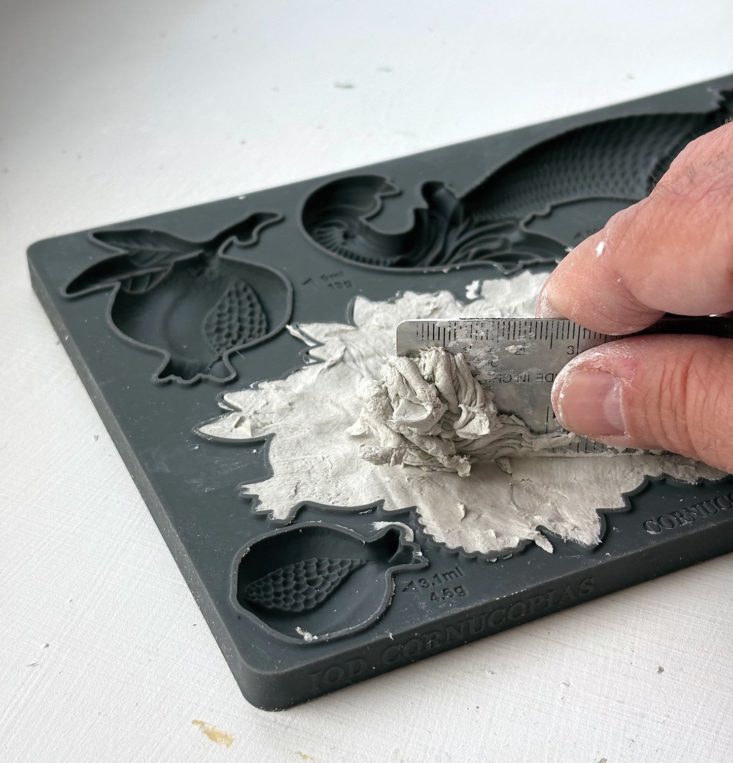Cornucopias 6x10 IOD Mould