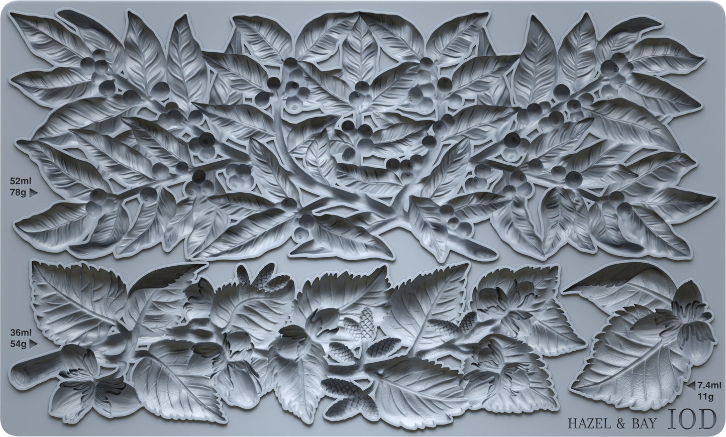 Hazel & Bay 6x10 IOD Mould
