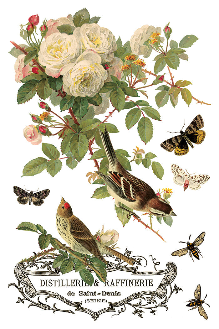 By Any Other Name IOD Transfer 8x12 Pad