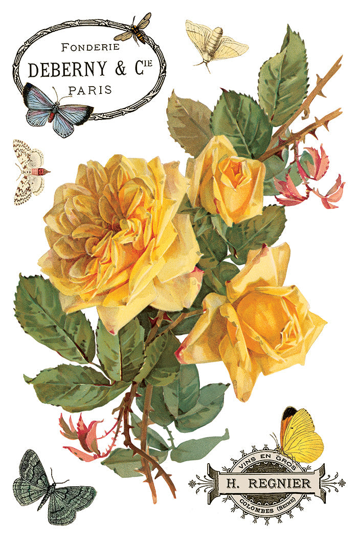 By Any Other Name IOD Transfer 8x12 Pad