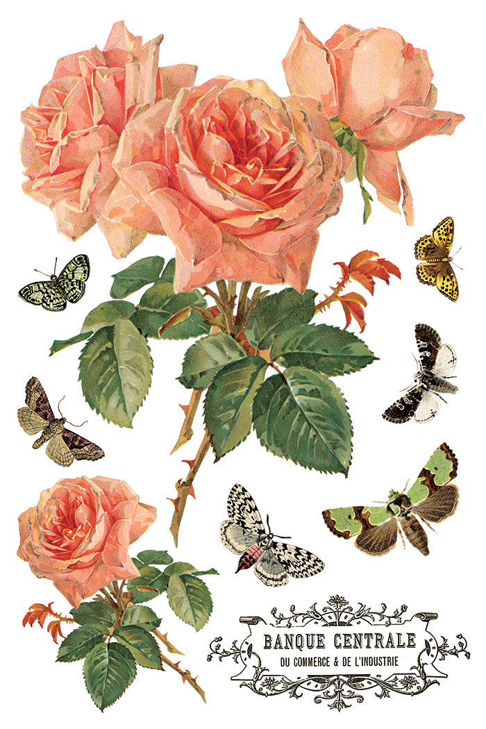 By Any Other Name IOD Transfer 8x12 Pad