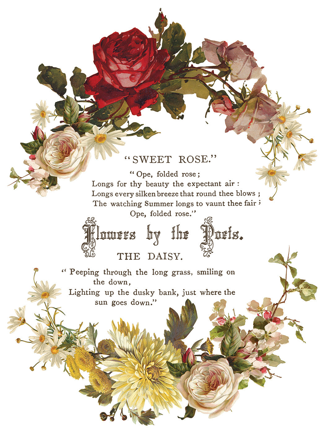 Flowers by the Poets IOD Transfer 12x16 Pad™ – IOD Public