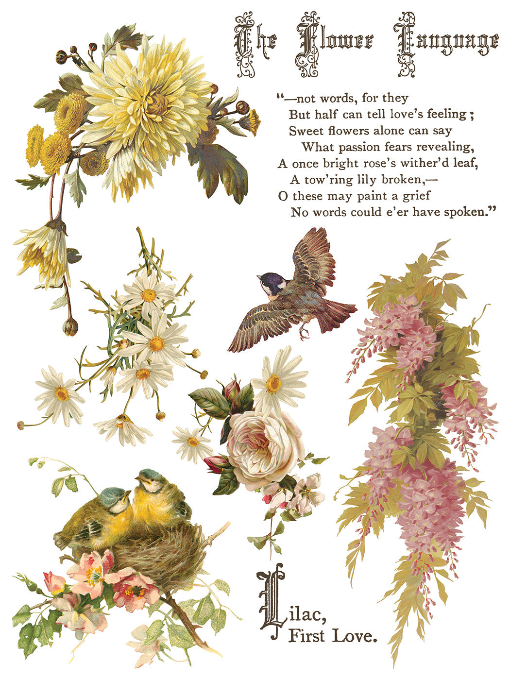 Flowers by the Poets IOD Transfer 12x16 Pad™ – IOD Public