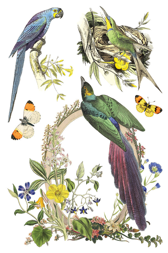 Flora Greca IOD Transfer 8x12 Pad