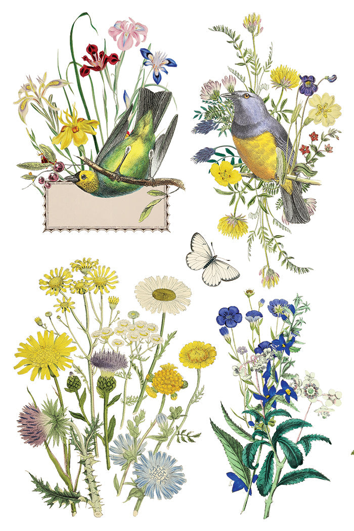 Flora Greca IOD Transfer 8x12 Pad