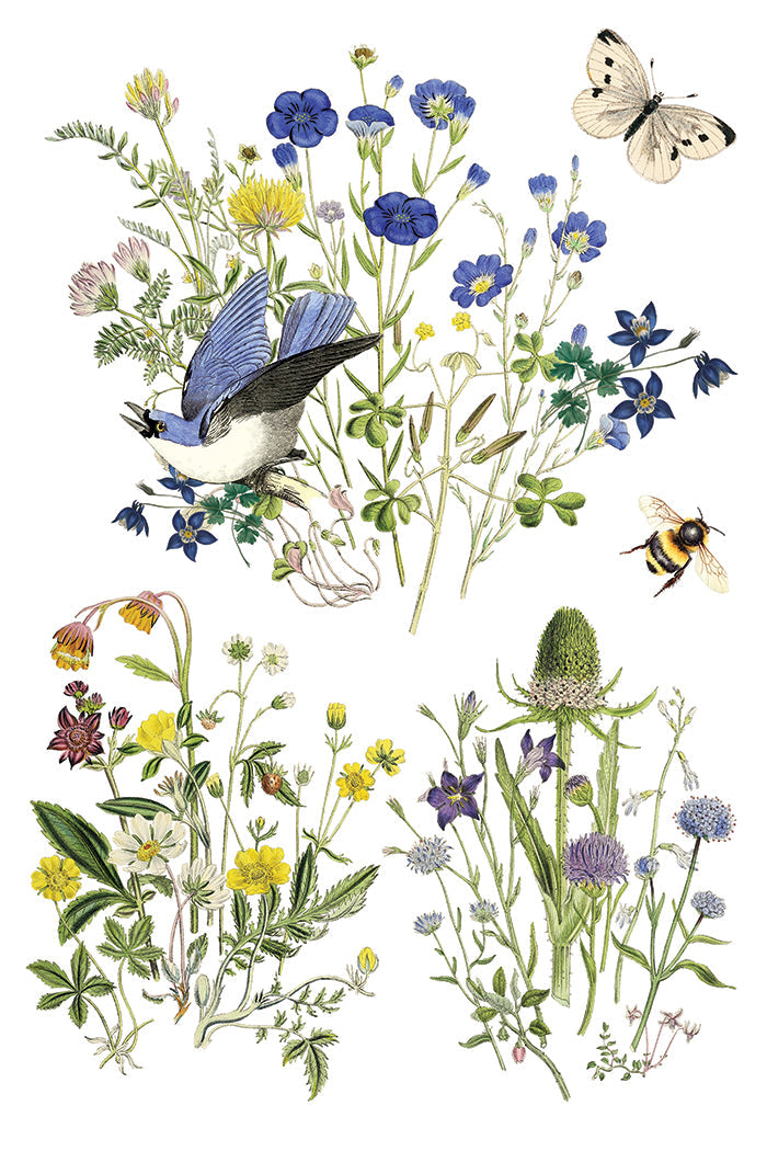 Flora Greca IOD Transfer 8x12 Pad – IOD Public