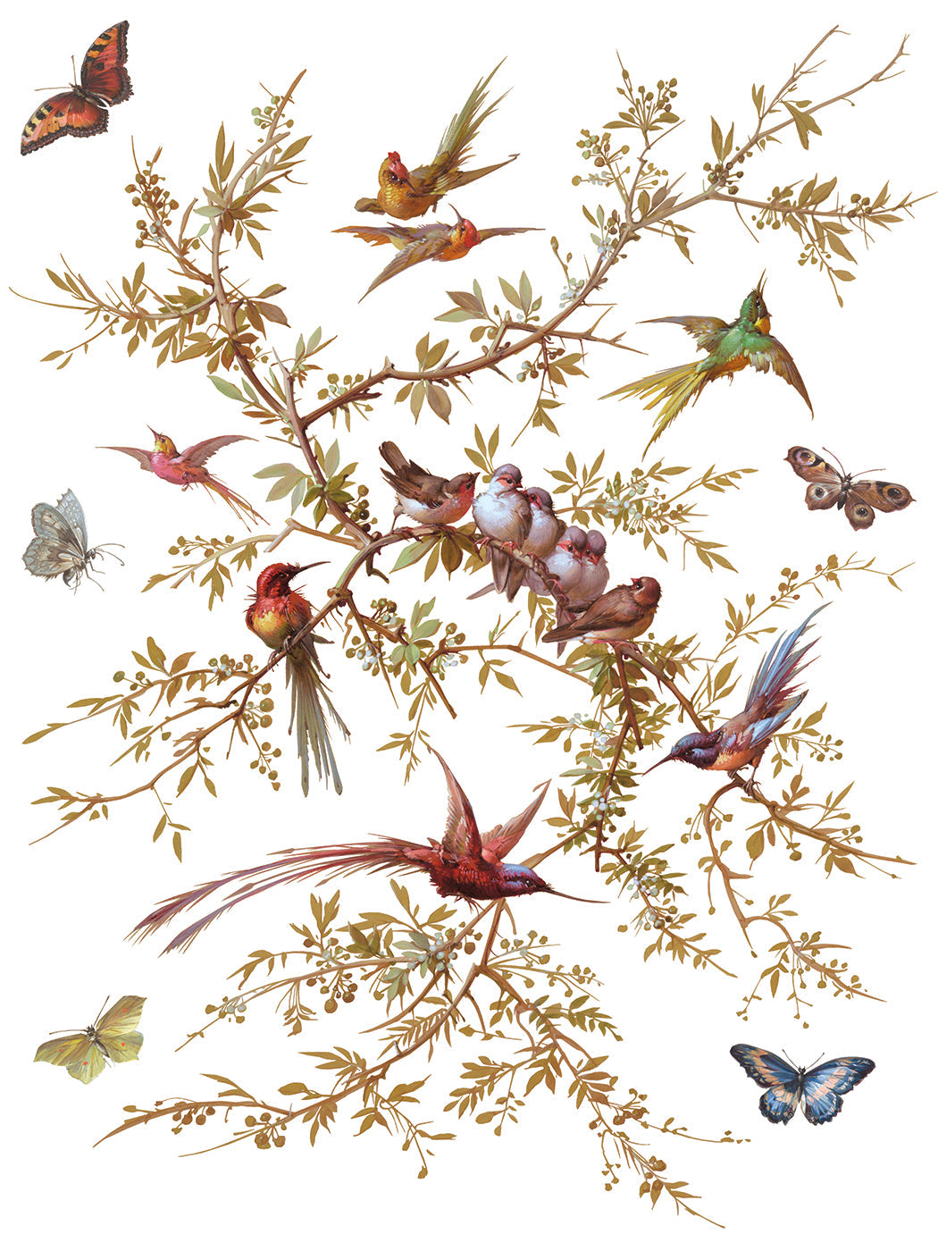 Madeleine IOD Transfer 12x16 Pad