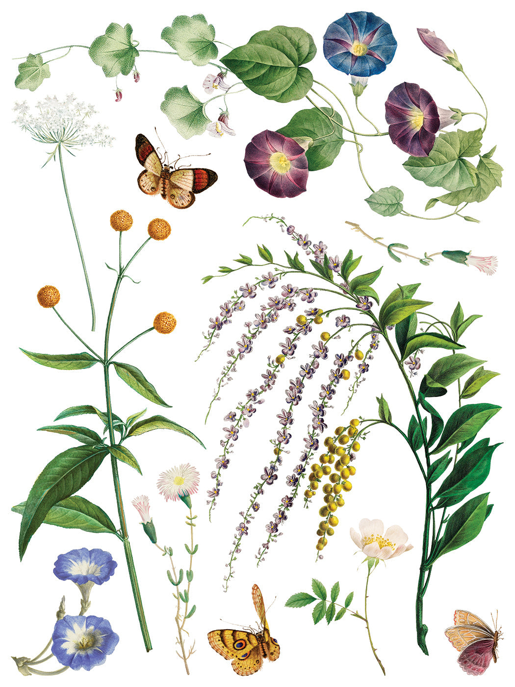 Marché des Fleurs IOD Transfer 12x16 Pad™ – IOD Public