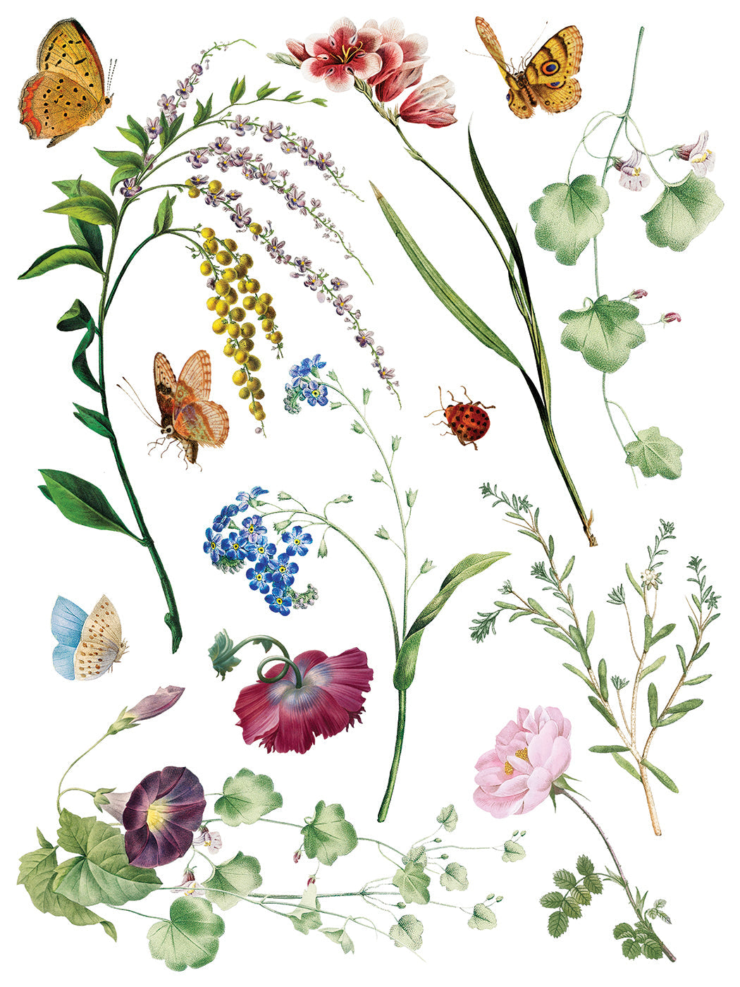 Marché des Fleurs IOD Transfer 12x16 Pad™