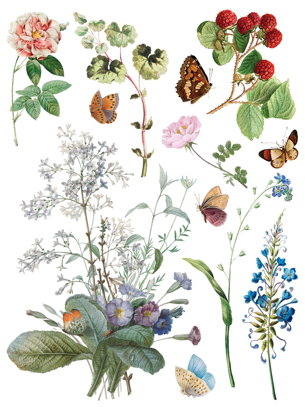 Marché des Fleurs IOD Transfer 12x16 Pad™