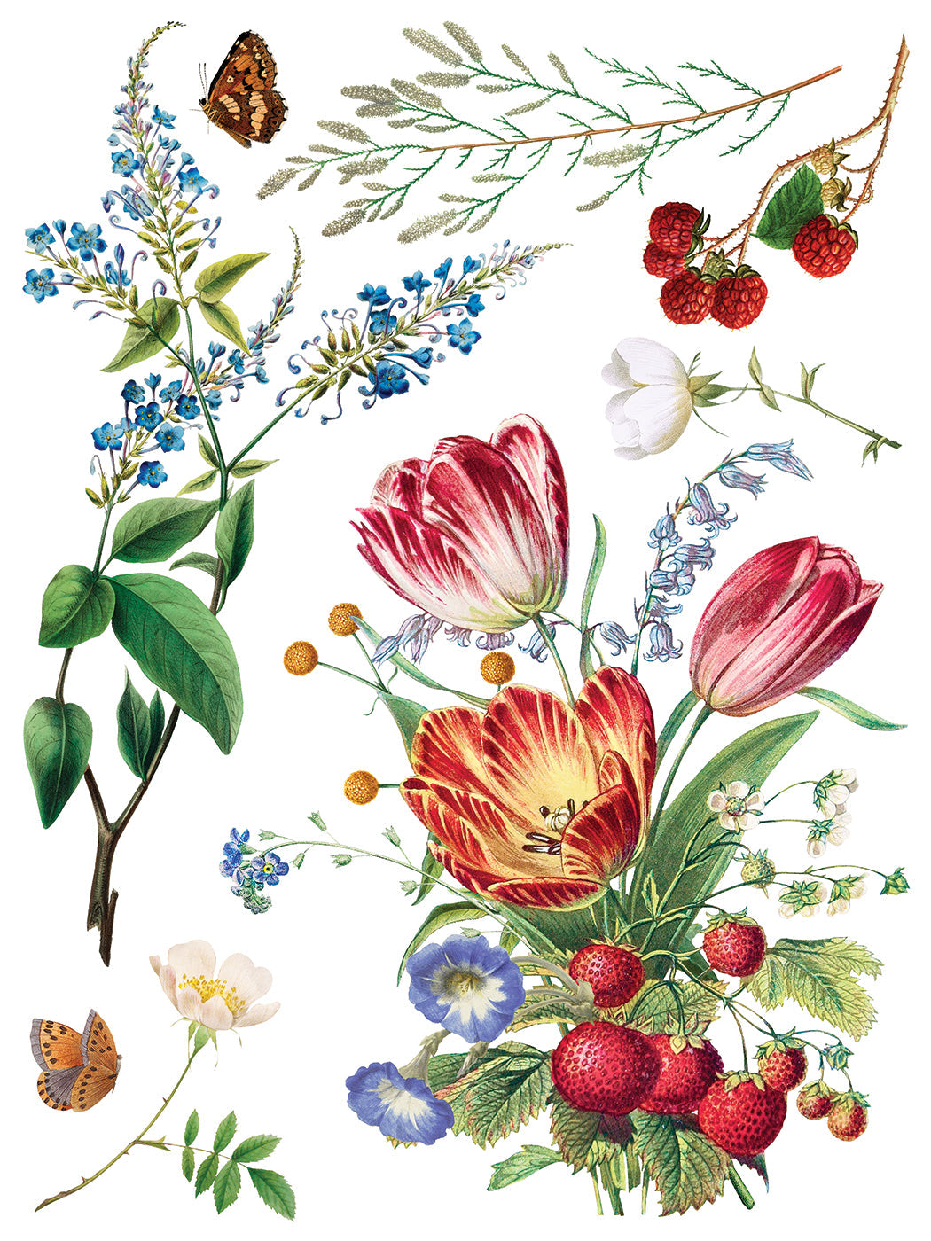 Marché des Fleurs IOD Transfer 12x16 Pad™