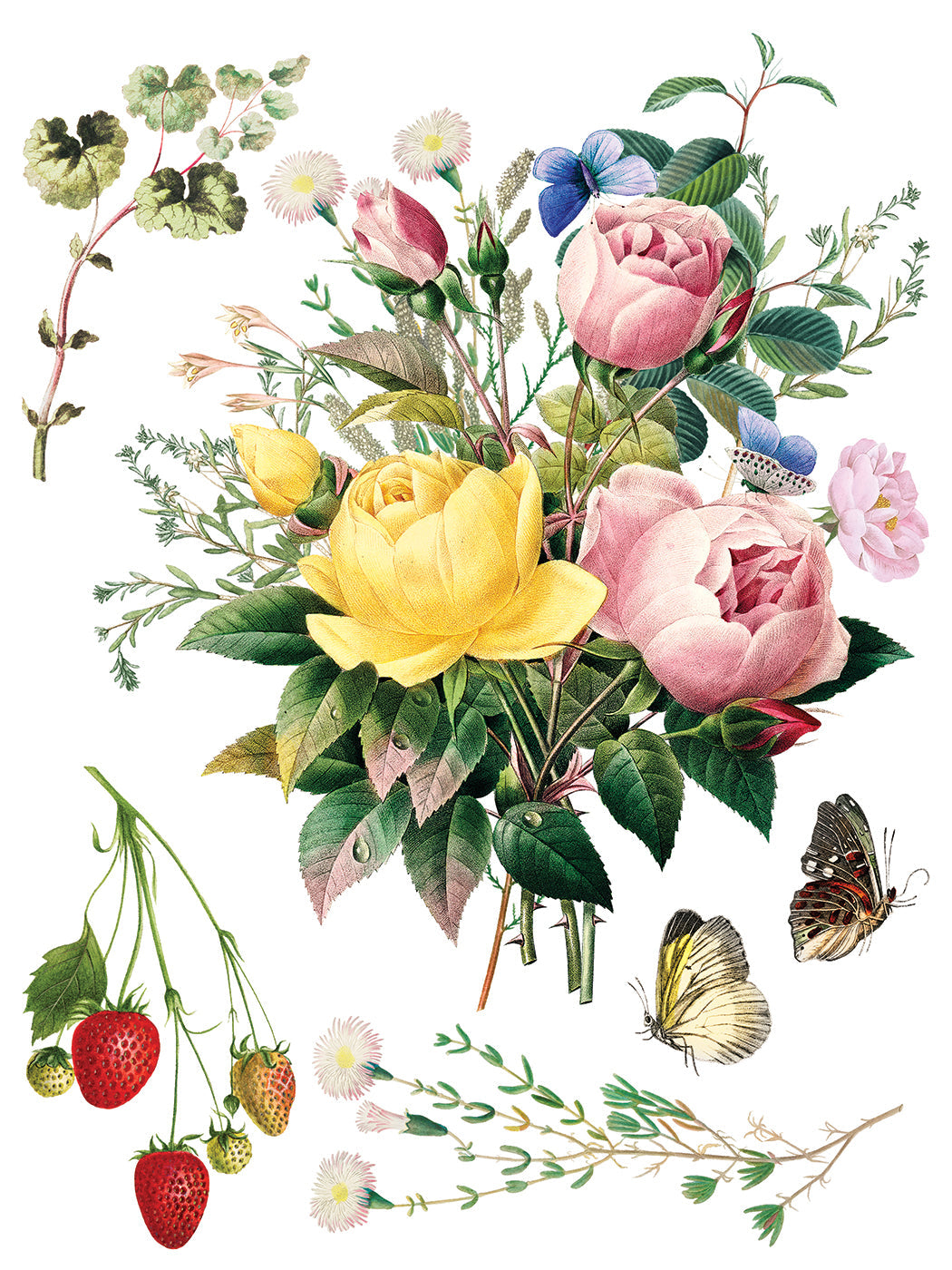 Marché des Fleurs IOD Transfer 12x16 Pad™