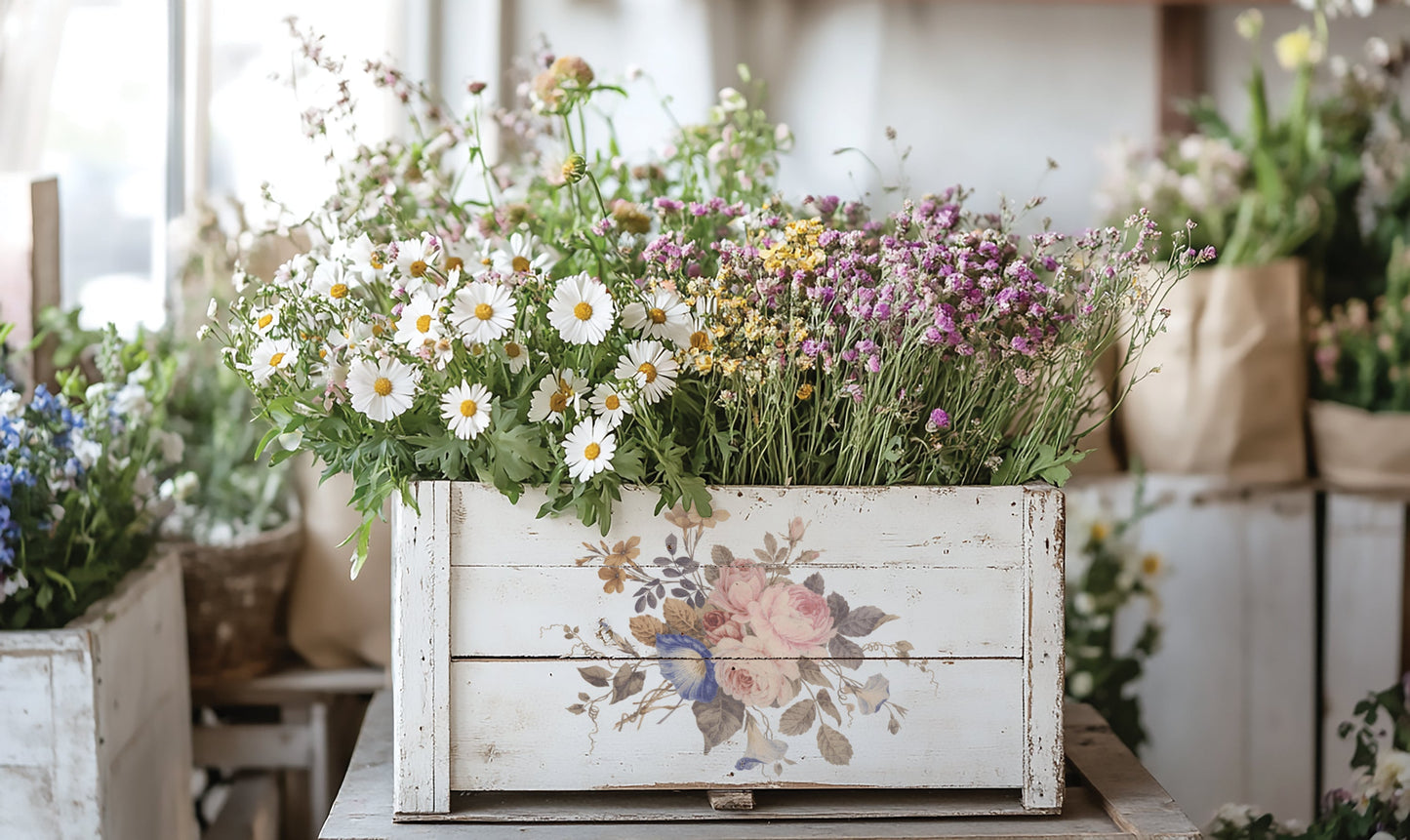 Saint Ouen IOD Transfer 8x12 Pad