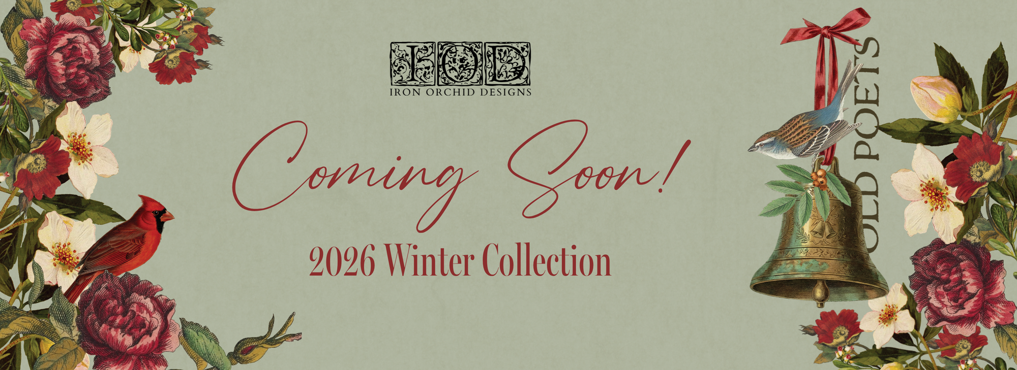 2026 Winter Collection Is Coming Soon!