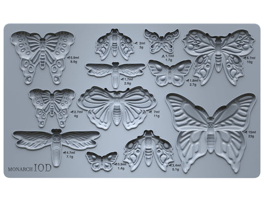 Monarch 6X10 IOD Mould