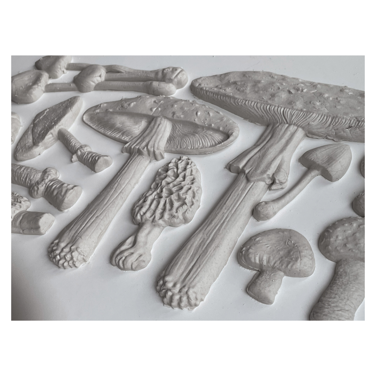 Toadstool 6X10 IOD Mould