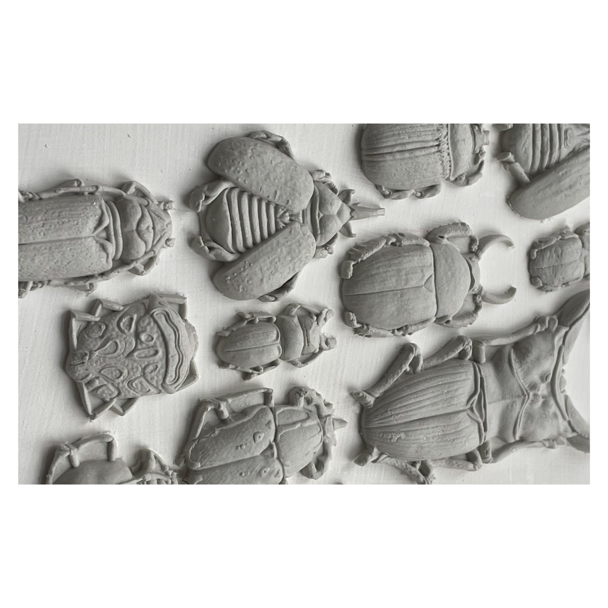 Specimens 6X10 IOD Mould™