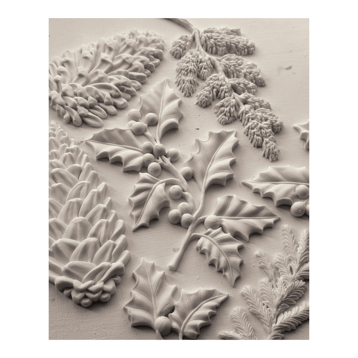 Winter Forage 6x10 IOD Mould™