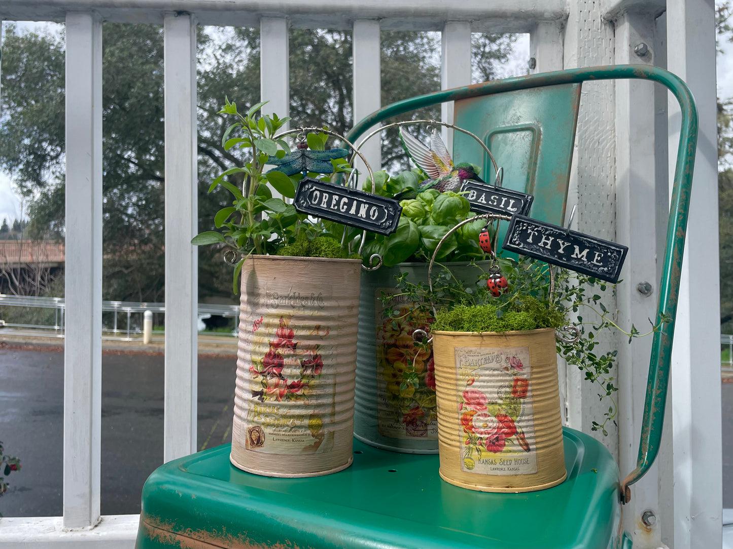 Apothecary Labels 6x6 IOD Stamp™